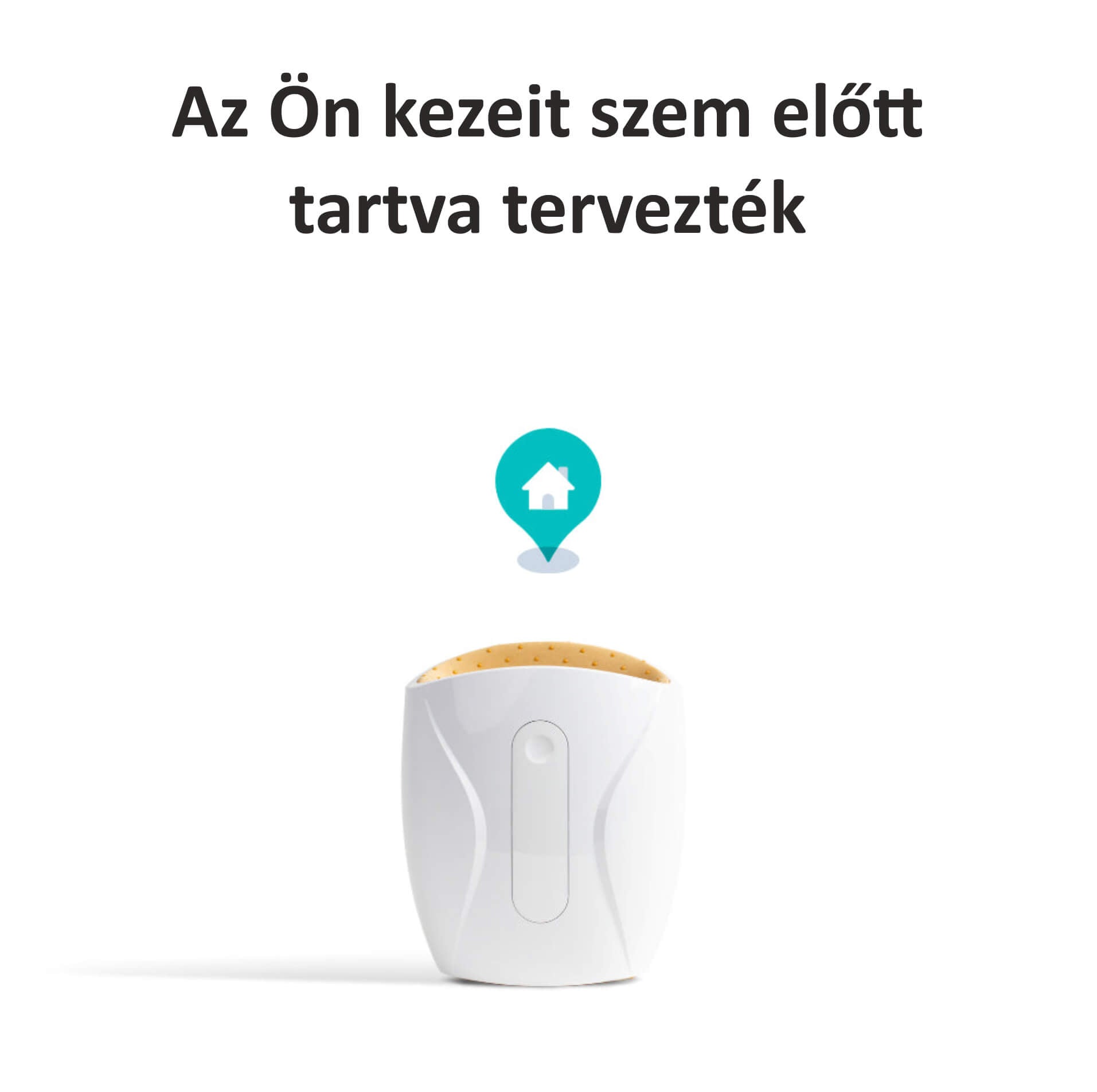 Kézmasszírozó és regeneráló